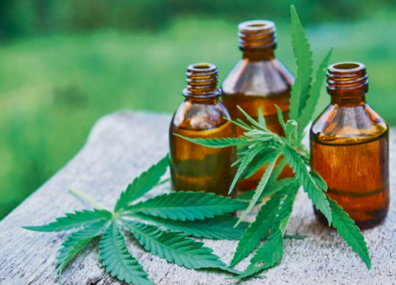 Cannabis Oil in Practice